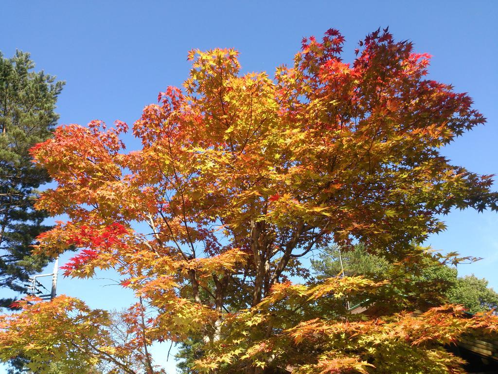 Runesu Karuizawa Kita-karuizawa Exterior foto